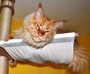 Ankunft T-Jay und Van 682.jpg