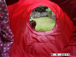 Interessantes Ding.jpg