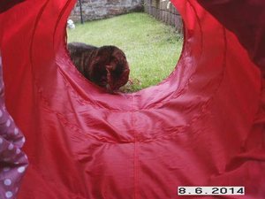 Da schau ich mal rein.jpg