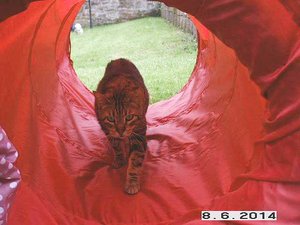 Da kann ich durch.jpg