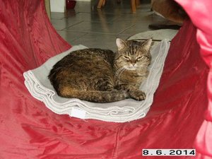 Neuer Schlafplatz 1.jpg