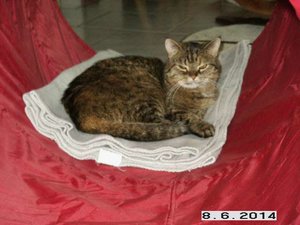 Neuer Schlafplatz 2.jpg