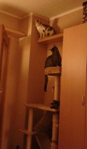 2014-06-09 01.01.45-1.jpg