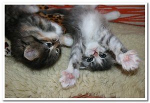 2012-07-08 08.07.2012_001.jpg