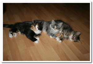 2012-08-07 07.08.2012_001.jpg