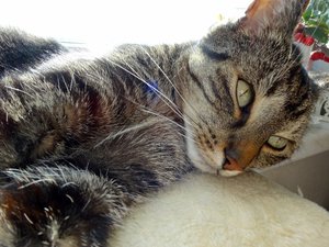 DSC08766 (640x480).jpg