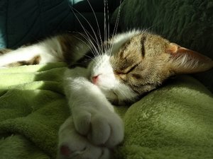 DSC08939 (640x480).jpg