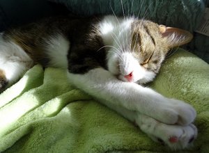 DSC08938 (640x469).jpg