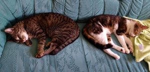 DSC08956 (640x307).jpg