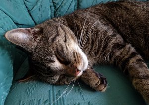 DSC08957 (640x451).jpg