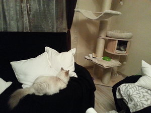 Quirlie und Xynthija.jpg