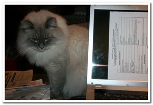 2012-12-19 18.12.2012_001papi.jpg