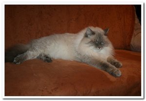 2013-01-09 08.01.2013_001a.jpg