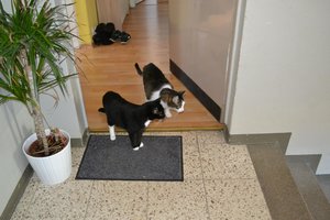 zu zweit ist schauen sicherer.jpg