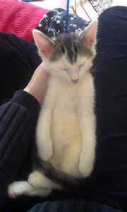 2014-06-19 19.47.19.jpg