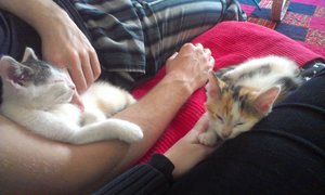 2014-06-19 20.10.42.jpg