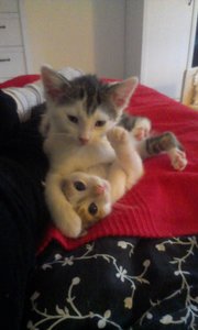 2014-06-19 21.21.58.jpg