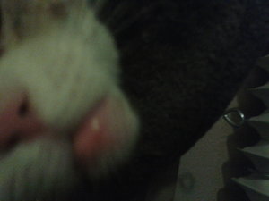 2014-06-20 02.05.23.jpg