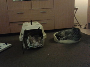 2014-06-18 02.03.25.jpg