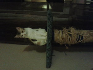 2014-06-13 00.36.53.jpg