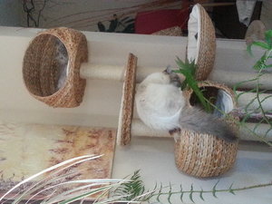 Quirlie und Siva.jpg