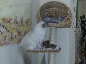 Quirlie und Xynthija 1.jpg