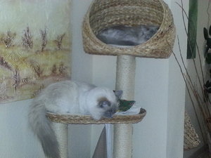 Quirlie und Xynthija 2.jpg