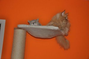 Ankunft T-Jay und Van 940.jpg