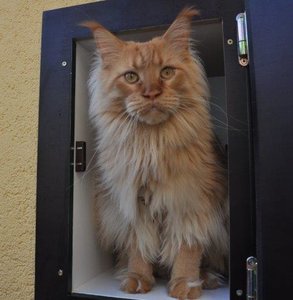 Freigehege 2 061.jpg