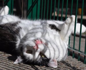 Freigehege 2 180.jpg