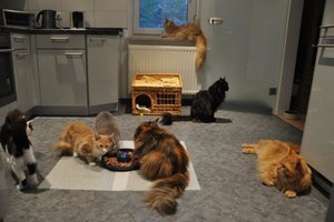 Ankunft T-Jay und Van 896.jpg