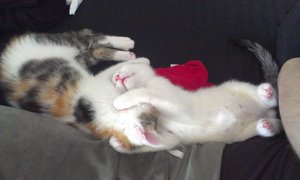 2014-06-23 18.43.00.jpg