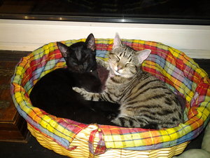 2014-01-08 18.03.57.jpg