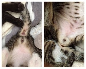 ImageUploadedByTapatalk1403967029.927619.jpg ImageUploadedByTapatalk1403967029.927619.jpg