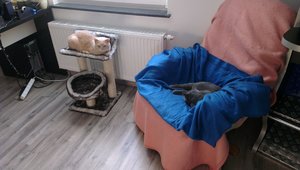 2014-07-02 07.00.06.jpg