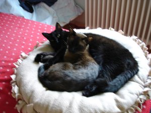 kuschelalarm 002.JPG