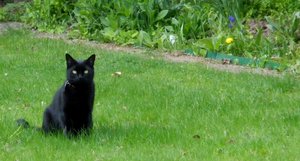 IMGP1581 (1024x549).jpg