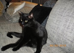 IMGP1825 (800x600).jpg