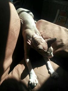 uploadfromtaptalk1404455870387.jpg uploadfromtaptalk1404455870387.jpg