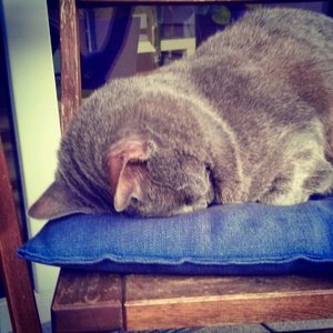 IMG_20140614_192402 (2).jpg