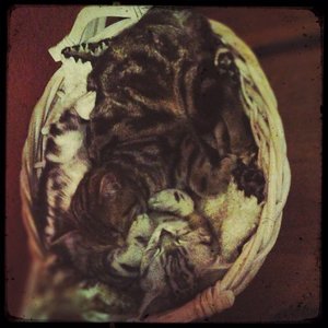 ImageUploadedByTapatalk1404489929.540588.jpg ImageUploadedByTapatalk1404489929.540588.jpg