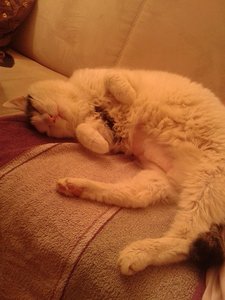 20140707_204927 (2).jpg