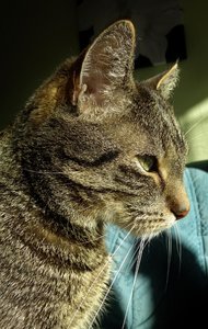 DSC09100 (404x640).jpg