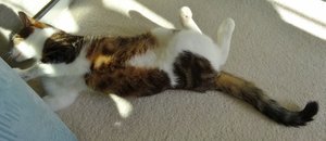 DSC09039 (640x276).jpg