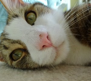 DSC09023 (640x568).jpg