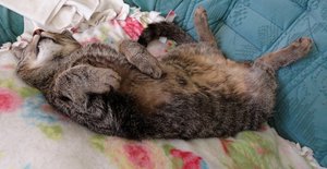 DSC08987 (640x330).jpg