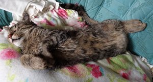 DSC08996 (640x340).jpg