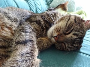 DSC08968 (640x480).jpg