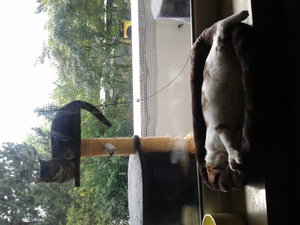 2014-07-08 17.41.29.jpg