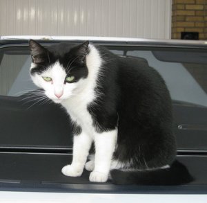 IMG-20140707-WA0002 - Kopie.jpg